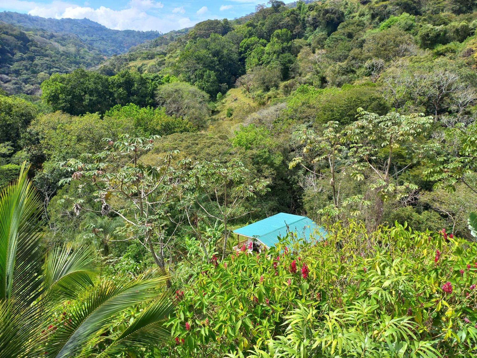 Casa El Colibri Villa Naranjo  Eksteriør billede